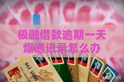极融借款逾期一天爆通讯录怎么办