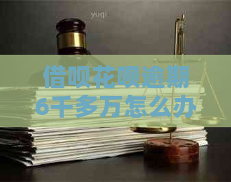 信用卡白条逾期6千多万怎么办