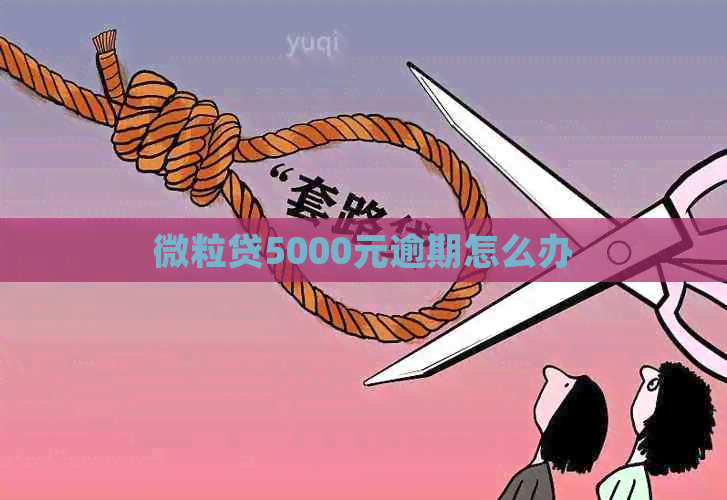 微粒贷5000元逾期怎么办