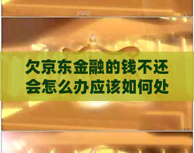 欠京东金融的钱不还会怎么办应该如何处理