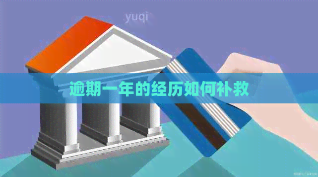 逾期一年的经历如何补救