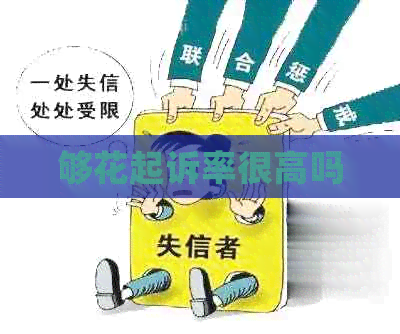 够花起诉率很高吗