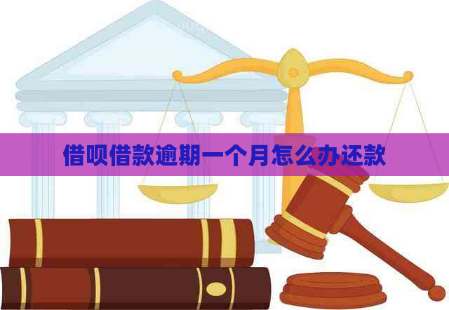 信用卡借款逾期一个月怎么办还款