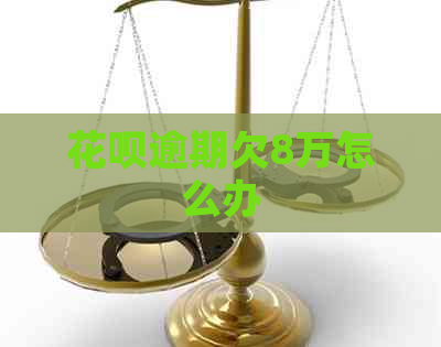 白条逾期欠8万怎么办