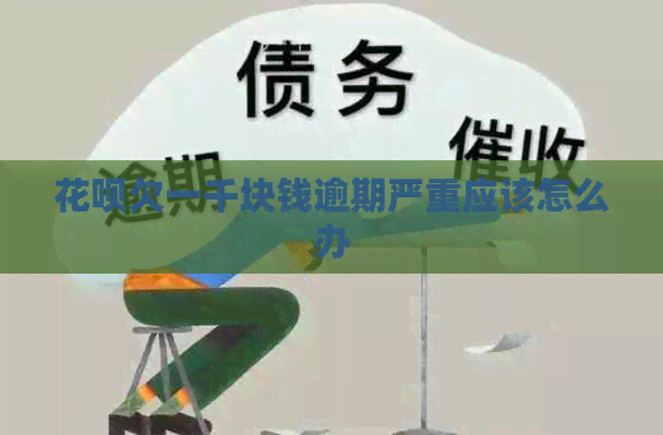白条欠一千块钱逾期严重应该怎么办