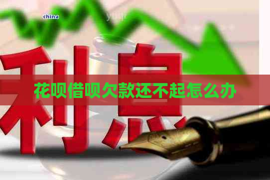 白条信用卡欠款还不起怎么办
