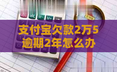 信用卡欠款2万5逾期2年怎么办