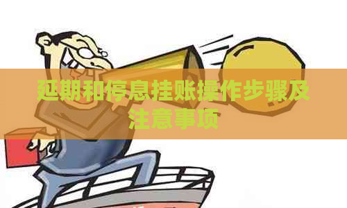 延期和停息挂账操作步骤及注意事项