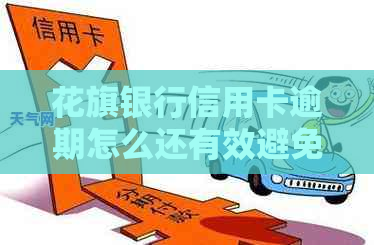花旗银行信用卡逾期怎么还有效避免影响信用