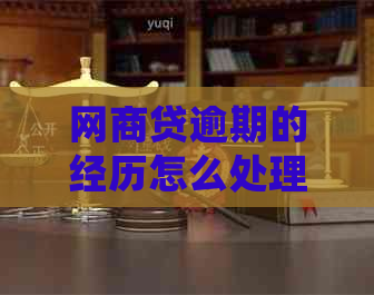 白条贷逾期的经历怎么处理