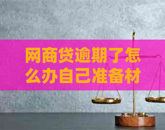白条贷逾期了怎么办自己准备材料可以吗