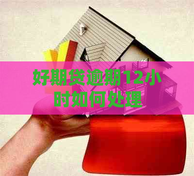 好期贷逾期12小时如何处理
