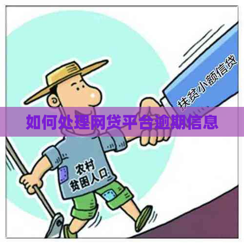 如何处理网贷平台逾期信息