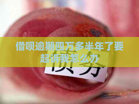 信用卡逾期四万多半年了要起诉我怎么办