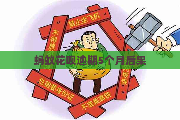 蚂蚁白条逾期5个月后果
