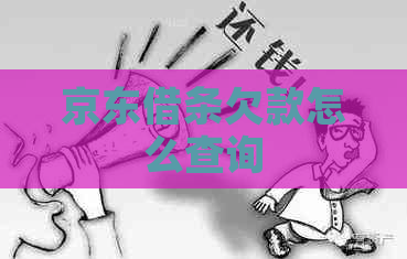 京东借条欠款怎么查询