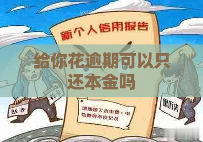 给你花逾期可以只还本金吗
