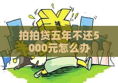 五年不还5000元怎么办