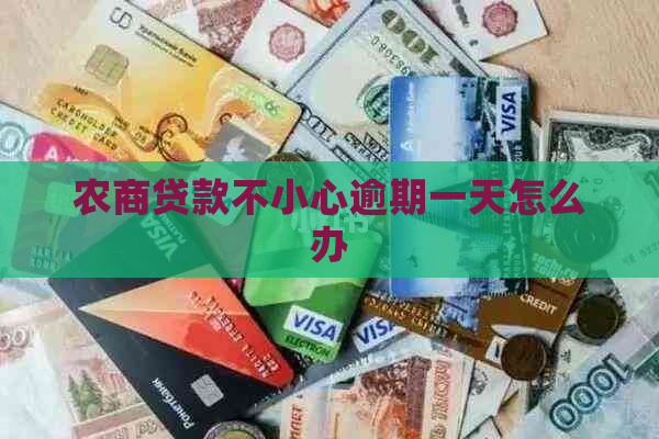 农商贷款不小心逾期一天怎么办