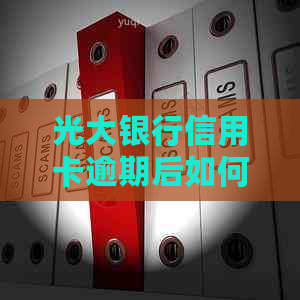 光大银行信用卡逾期后如何与银行协商还款