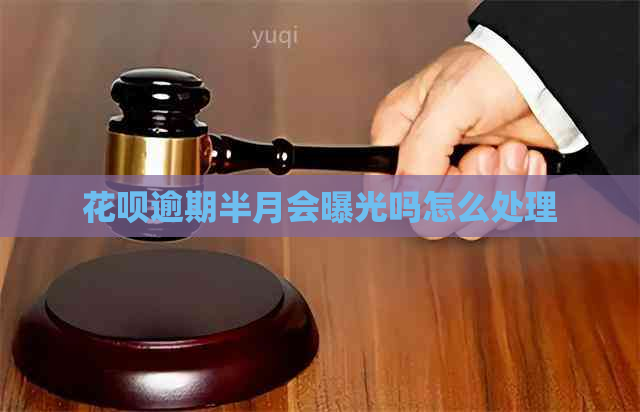 白条逾期半月会曝光吗怎么处理