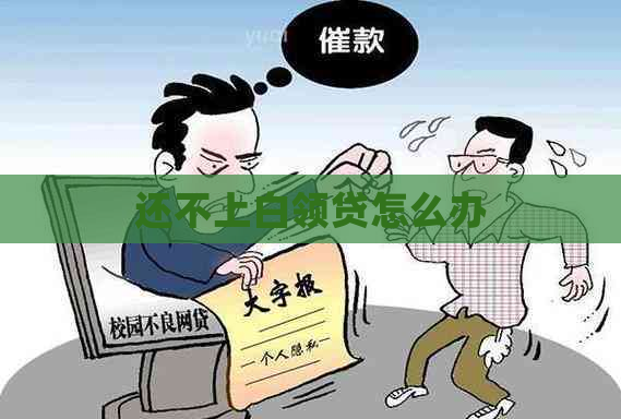 还不上白领贷怎么办