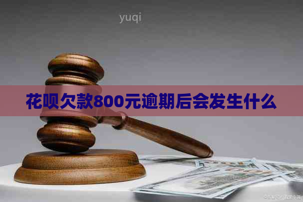 白条欠款800元逾期后会发生什么