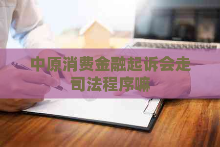 中原消费金融起诉会走司法程序嘛