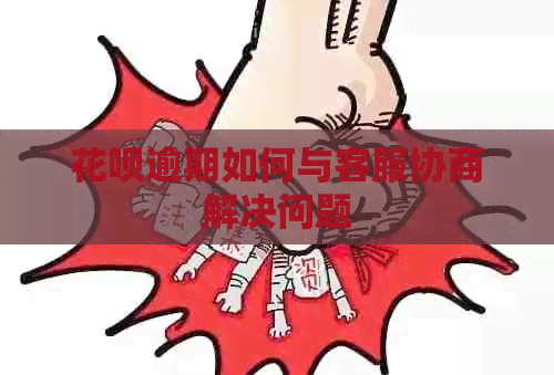 白条逾期如何与客服协商解决问题