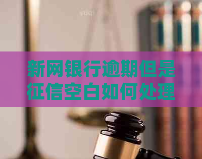 新网银行逾期但是空白如何处理