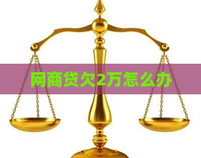 白条贷欠2万怎么办