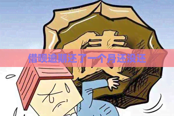 信用卡逾期还了一个月还没还