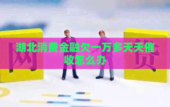 湖北消费金融欠一万多天天怎么办