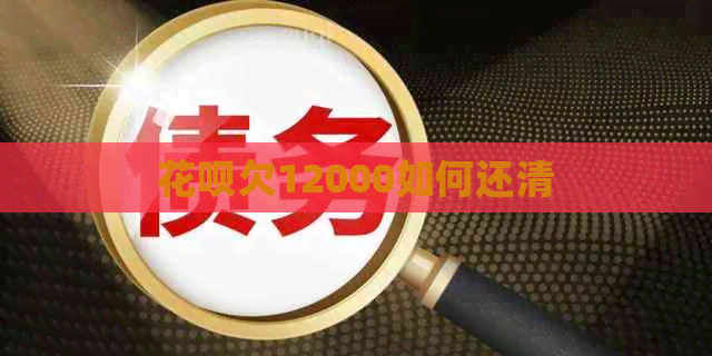 白条欠12000如何还清