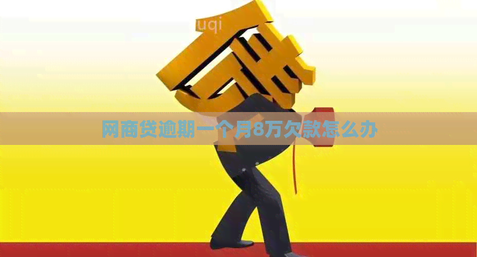 白条贷逾期一个月8万欠款怎么办