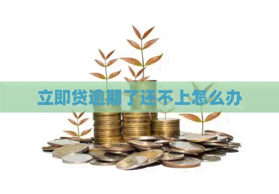 立即贷逾期了还不上怎么办