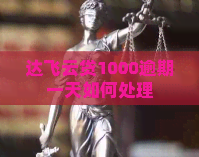 达飞云贷1000逾期一天如何处理