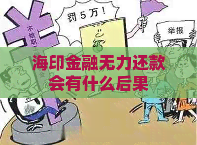 海印金融无力还款会有什么后果