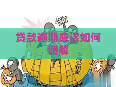 贷款逾期应该如何调解