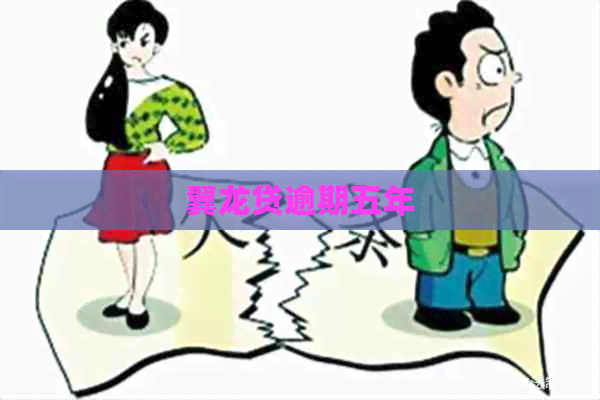 翼龙贷逾期五年
