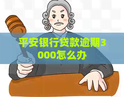 平安银行贷款逾期3000怎么办
