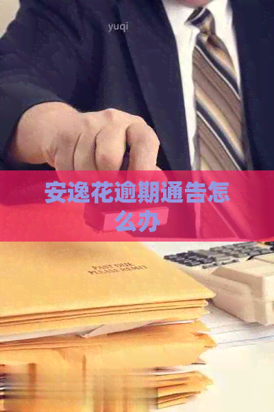 安逸花逾期通告怎么办