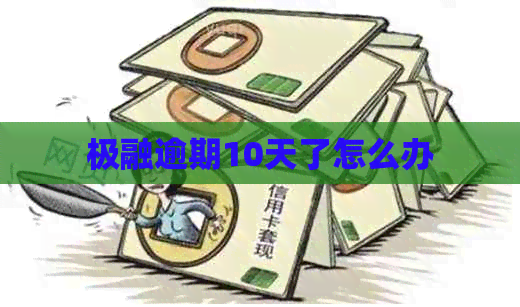 极融逾期10天了怎么办