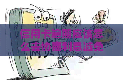 信用卡逾期应该怎么去协商利息减免