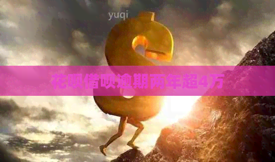 白条信用卡逾期两年超4万