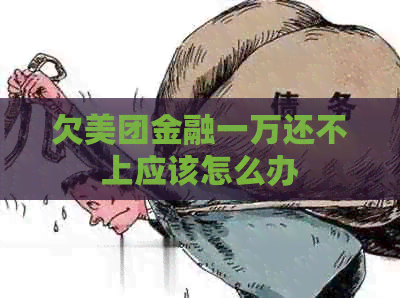 欠美团金融一万还不上应该怎么办
