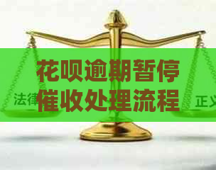 白条逾期暂停处理流程详解