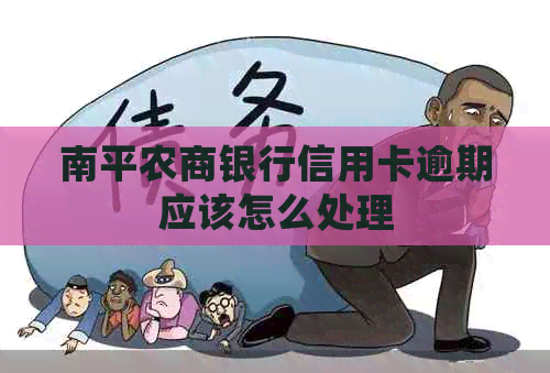 南平农商银行信用卡逾期应该怎么处理
