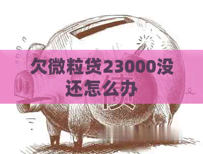 欠微粒贷23000没还怎么办