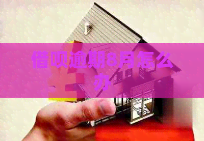 信用卡逾期8月怎么办